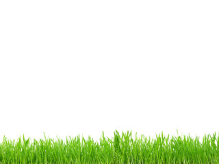 绿色简约草地草坪草原小草草丛植物元素PNG素材